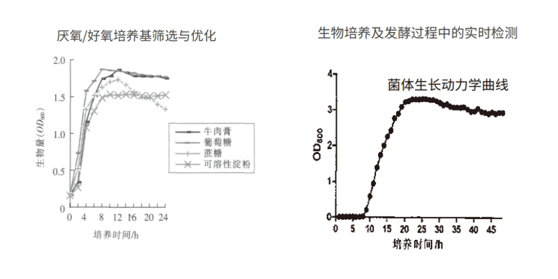 過程安全，結果精準