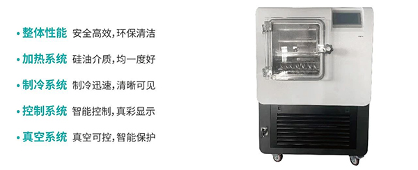 硅油原位冷凍干燥機(jī)