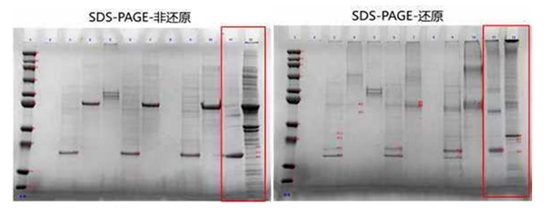 還原前后對(duì)比